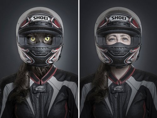 Люди со своими кошками в проекте Себастьяна Маньяни (12 фото)