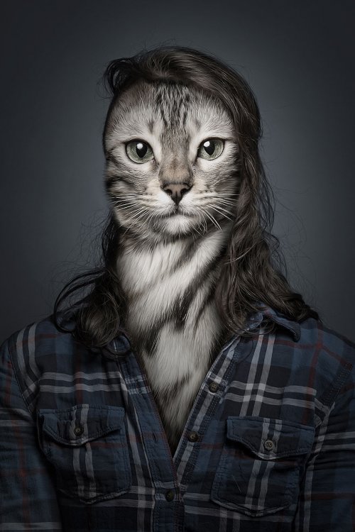 Люди со своими кошками в проекте Себастьяна Маньяни (12 фото)