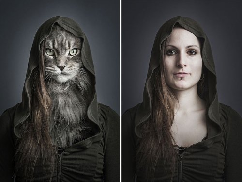 Люди со своими кошками в проекте Себастьяна Маньяни (12 фото)