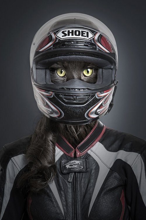 Люди со своими кошками в проекте Себастьяна Маньяни (12 фото)