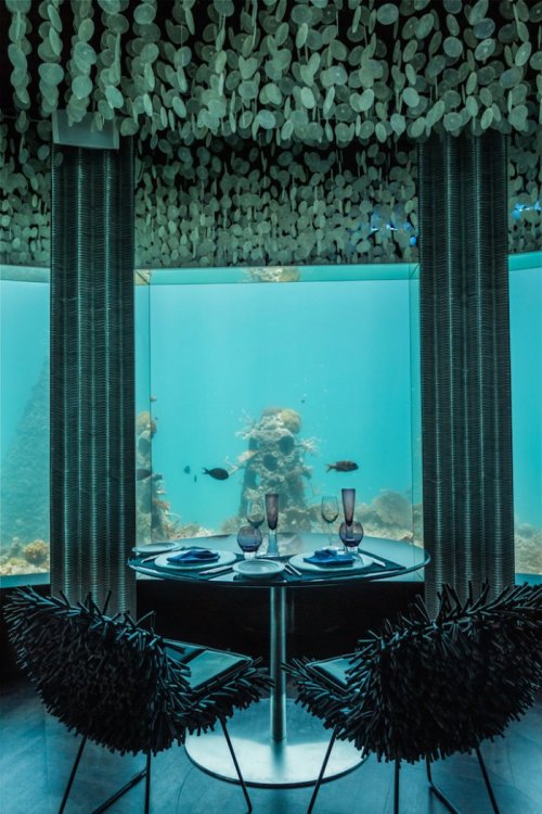 Ресторан "Per Aquum" на Мальдивах для любителей подводного мира (5 фото)
