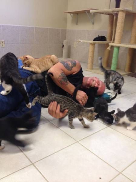 Доза позитива в прикольных картинках (49 шт) Доза позитива в прикольных картинках (49 шт)