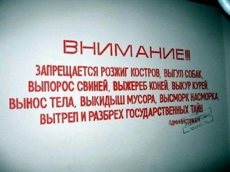 Смешные и прикольные объявления в подъездах (25 фото) Смешные и прикольные объявления в подъездах (25 фото)