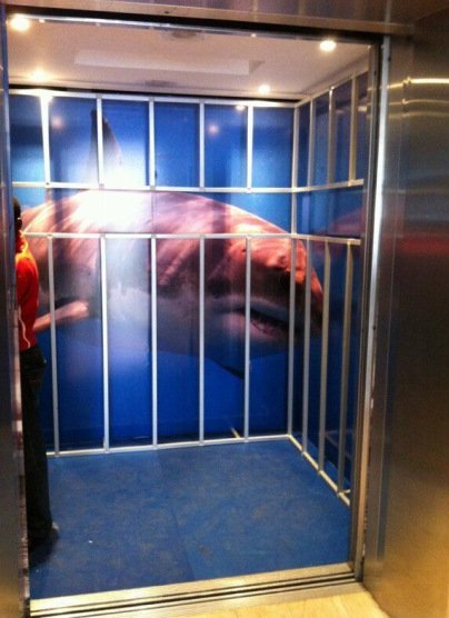 3D-рисунки в лифтах для настоящих смельчаков (10 фото)