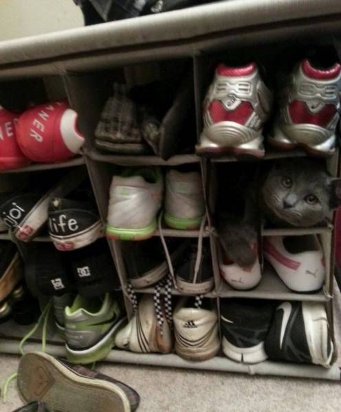 Прикольная фотоподборка (70) Прикольная фотоподборка (70)