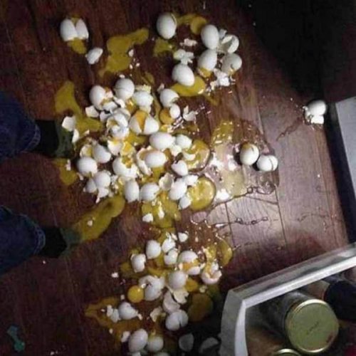 Неудачный день в картинках (25 фото)