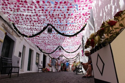 Народный фестиваль цветов в португальском городе Кампу-Майор (14 фото)
