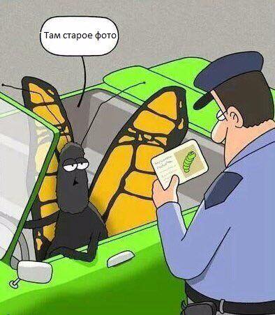 Прикольные картинки на разные темы (43 шт) Прикольные картинки на разные темы (43 шт)