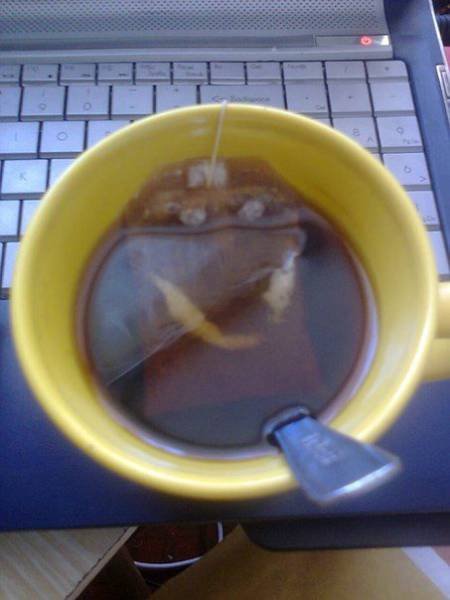 Оказалось, показалось (22 фото) Оказалось, показалось (22 фото)