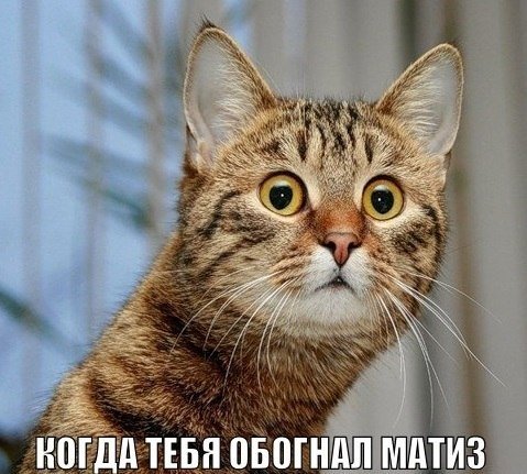 Фотоприколы на автотематику (18 шт) Фотоприколы на автотематику (18 шт)