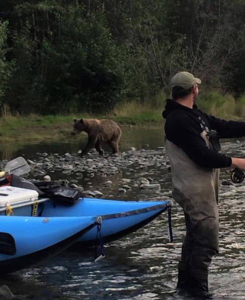 Сплошные казусы да упсы (17 фото) Сплошные казусы да упсы (17 фото)