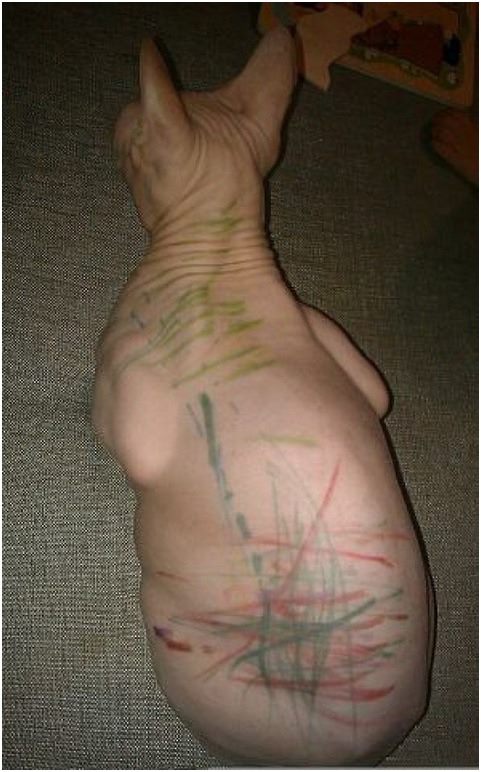 Прикольные картинки понедельника (50 шт) Прикольные картинки понедельника (50 шт)