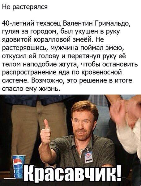 Прикольные картинки понедельника (50 шт) Прикольные картинки понедельника (50 шт)