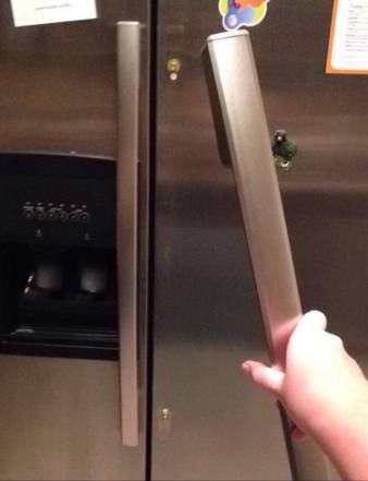 Сплошные казусы и упсы (24 фото) Сплошные казусы и упсы (24 фото)