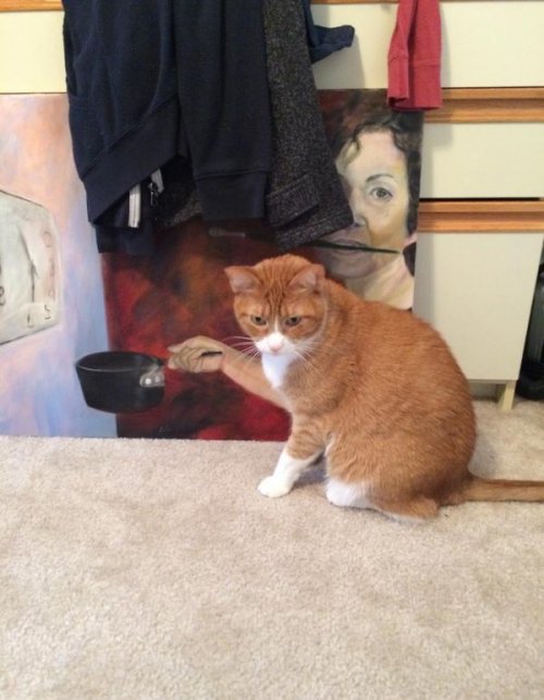 Оказалось, показалось&hellip; (16 фото)