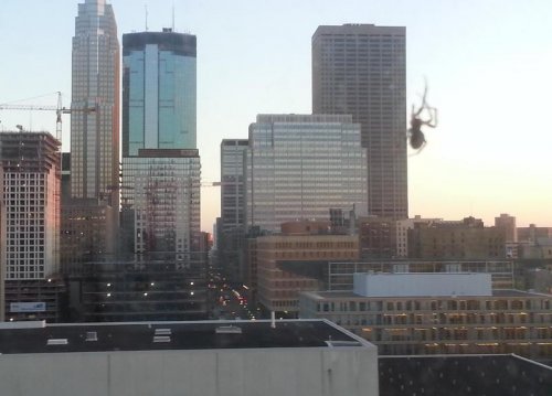 Оказалось, показалось&hellip; (16 фото)