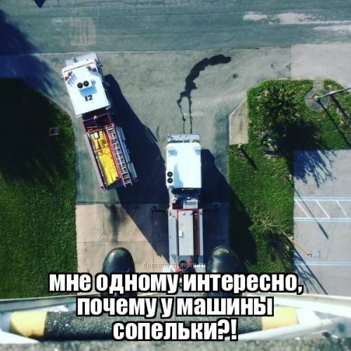 Прикольные картинки на автотематику (31 шт) Прикольные картинки на автотематику (31 шт)