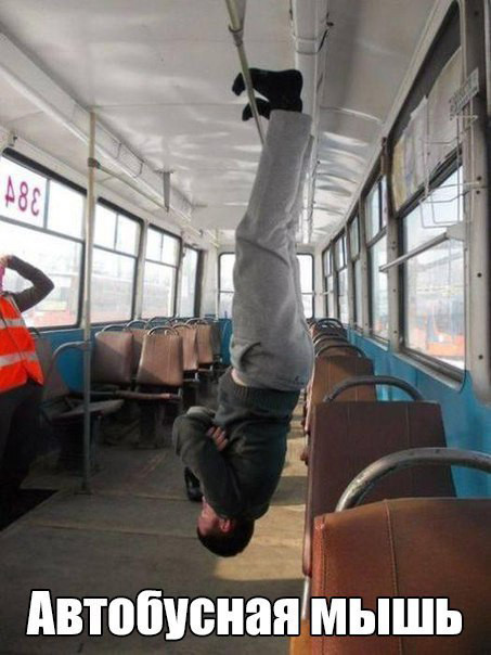 Прикольные картинки круглосуточно (56 шт) Прикольные картинки круглосуточно (56 шт)