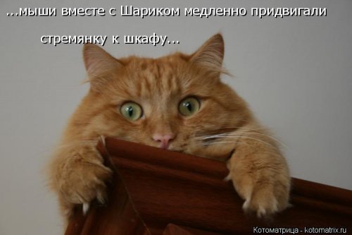 ����� ����������� (28 ����)