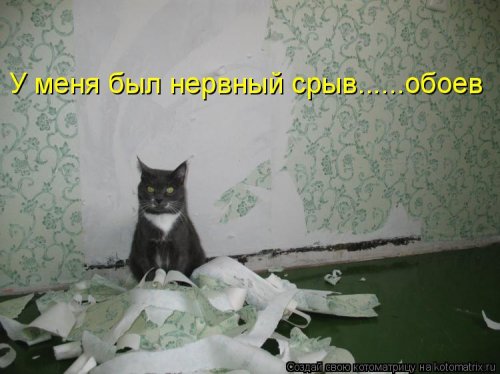 ����� ����������� (28 ����)