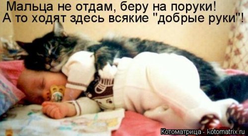 ����� ����������� (28 ����)
