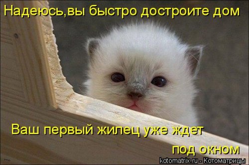 ����� ����������� (28 ����)