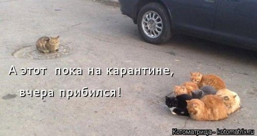 ����� ����������� (28 ����)