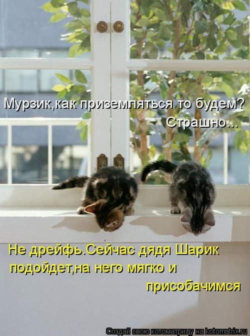 ����� ����������� (28 ����)
