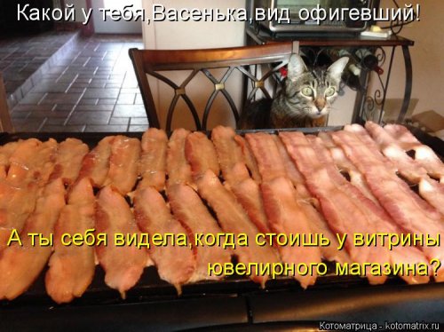 ����� ����������� (28 ����)