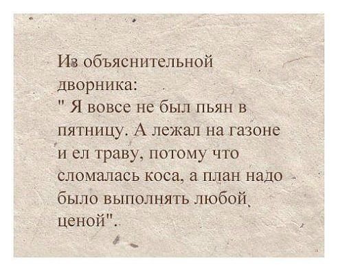 Прикольные фотомемы для хорошего настроения (31 шт) Прикольные фотомемы для хорошего настроения (31 шт)