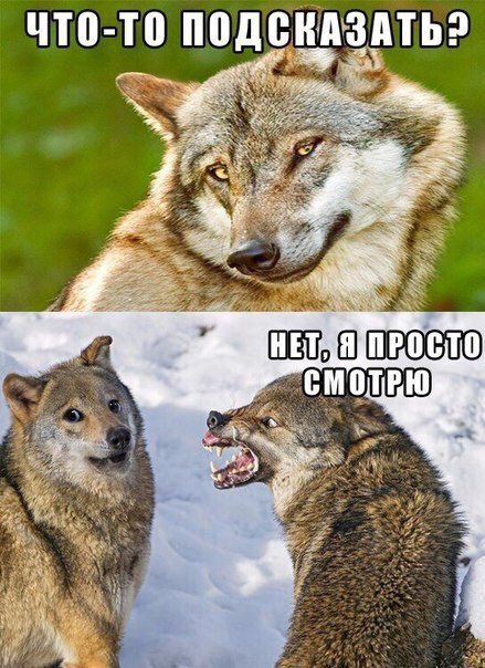 Прикольные фотомемы для хорошего настроения (31 шт) Прикольные фотомемы для хорошего настроения (31 шт)