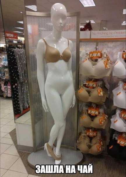 Прикольные фотомемы для отличного настроения (27 шт) Прикольные фотомемы для отличного настроения (27 шт)