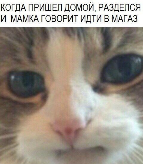 Прикольные фотомемы для всех (31 шт) Прикольные фотомемы для всех (31 шт)