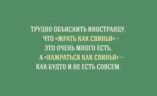 Прикольные картинки об особенностях русского языка (15 шт)