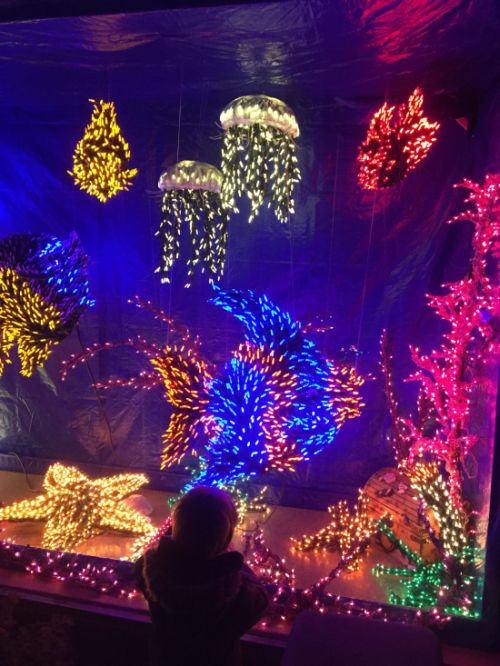 Фото-приколы в середине недели (50 шт) Фото-приколы в середине недели (50 шт)