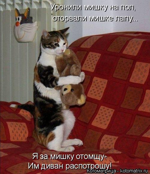 Новая котоматрица на Бугаге (39 фото) Новая котоматрица на Бугаге (39 фото)