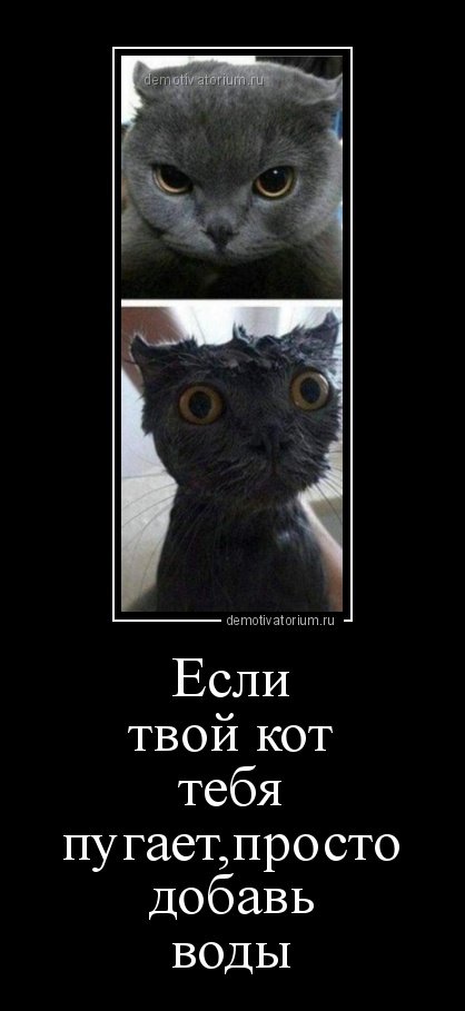 Демотиваторы-новинки для всех (12 шт) Демотиваторы-новинки для всех (12 шт)