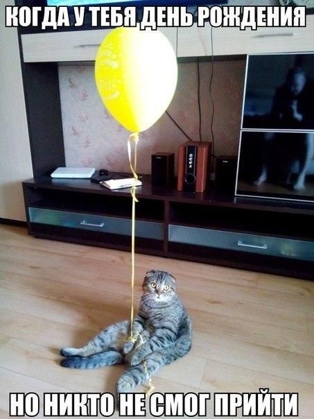 Прикольные картинки для всех (43 шт) Прикольные картинки для всех (43 шт)