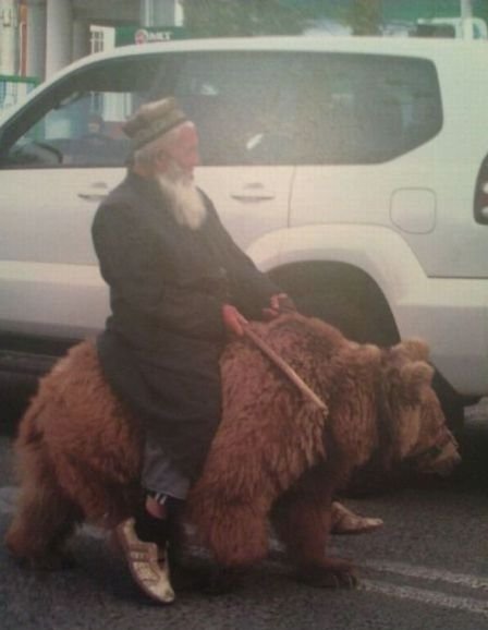 АВТОприкольные картинки для хорошего настроеия (31 шт) АВТОприкольные картинки для хорошего настроеия (31 шт)