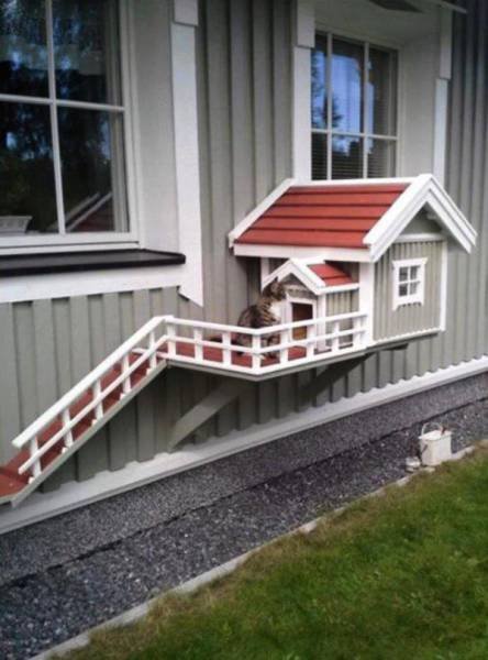 Люди и вещи, которые вас удивят (30 фото) Люди и вещи, которые вас удивят (30 фото)