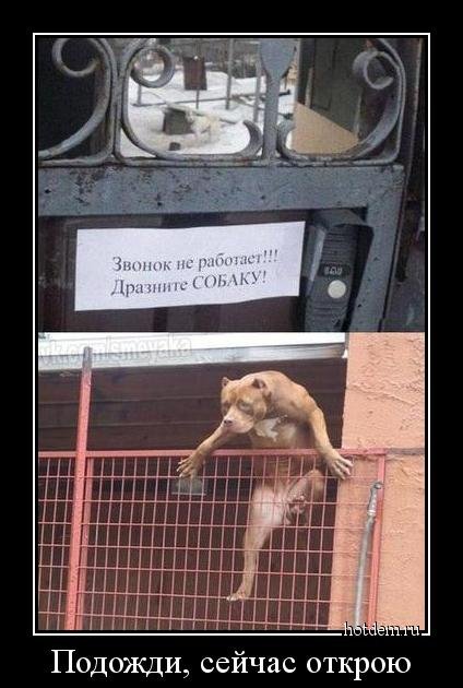 Немного прикольных демотиваторов (14 шт) Немного прикольных демотиваторов (14 шт)