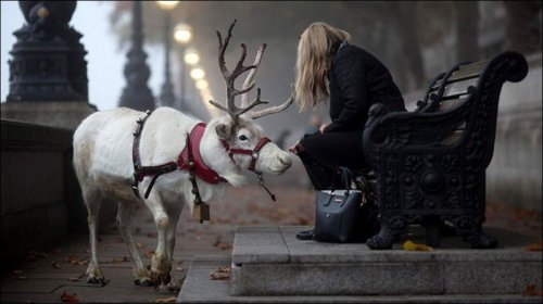 Забавные стоп-кадры (18 фото)