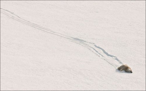 Забавные стоп-кадры (18 фото)