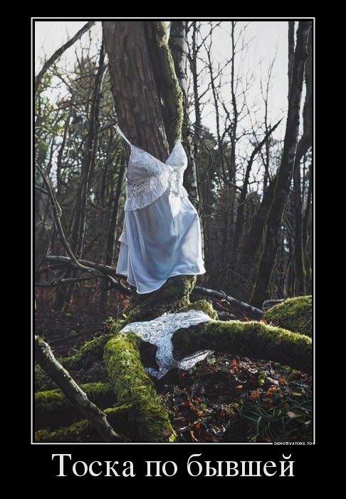 Новые демотиваторы для всех (19 шт) Новые демотиваторы для всех (19 шт)