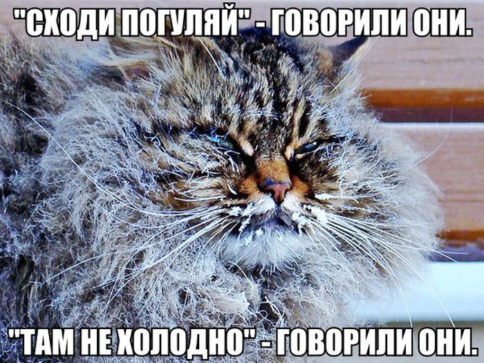 Смешные картинки | ВКонтакте