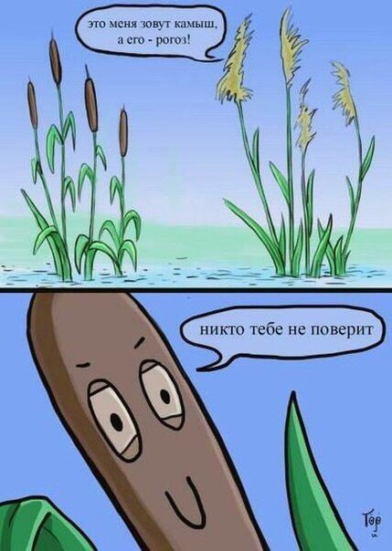 Комиксы на любой вкус (27 шт) Комиксы на любой вкус (27 шт)