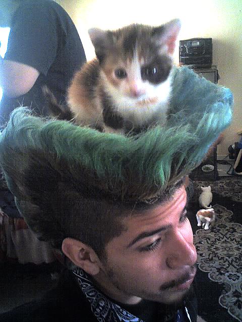 Забавные и прикольные картинки (52 шт) Забавные и прикольные картинки (52 шт)