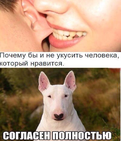 Новые фотомемы для настроения (28 шт) Новые фотомемы для настроения (28 шт)