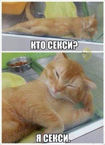 Новые фотомемы для настроения (28 шт) Новые фотомемы для настроения (28 шт)