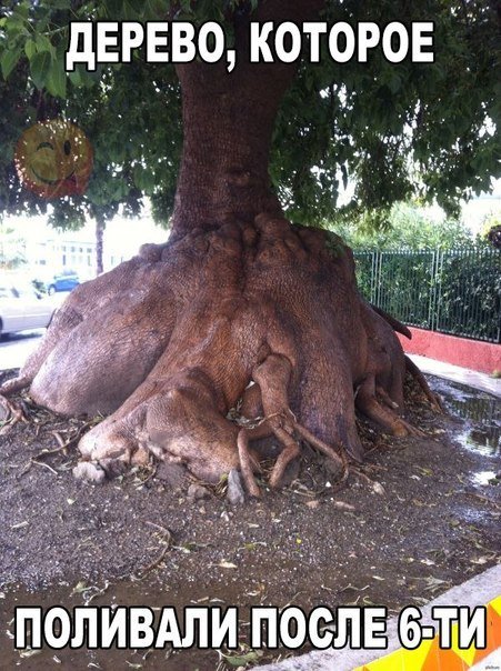 Новые фотомемы для настроения (28 шт) Новые фотомемы для настроения (28 шт)